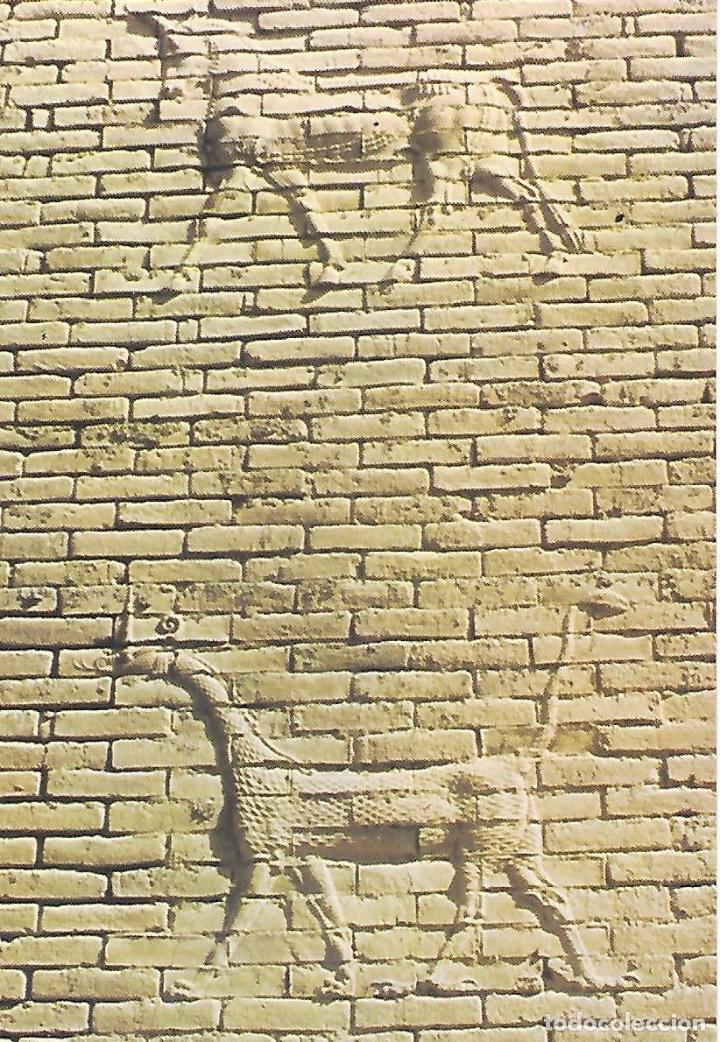 Postales: IRAK - MUR DE BABYLONE - Foto 1
