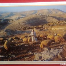 Postales: POSTAL ISRAEL BETHLEHEM SHERPARD FIELD. Lote 145484289