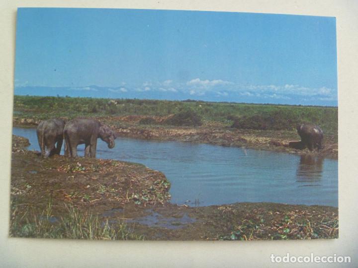 Postales: POSTAL DE LA INDIA . OBISPADO DE LA INDIA - Foto 1