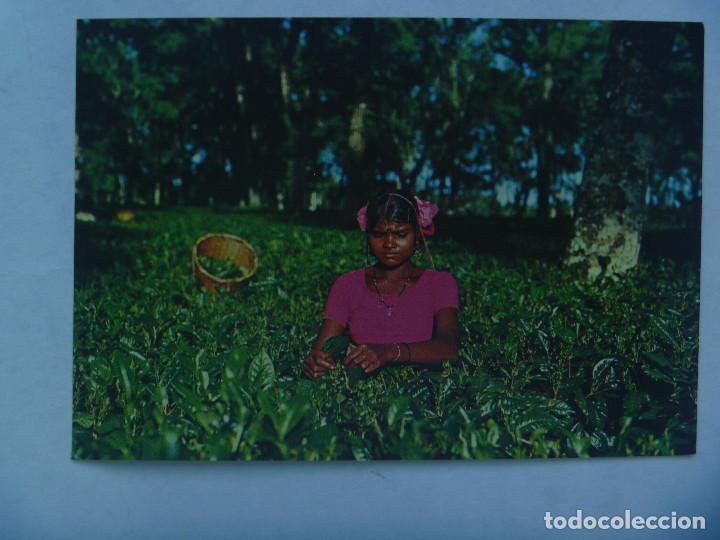 Postales: POSTAL DE LA INDIA . ARZOBISPADO DE LA INDIA - Foto 1