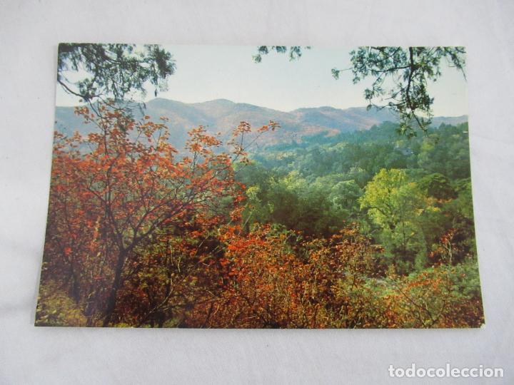 Postales: China - S/C - Foto 1