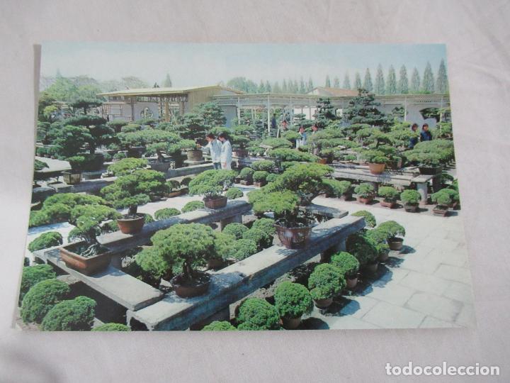 Postales: China - S/C - Foto 1