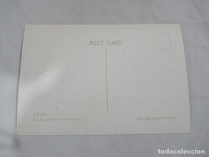 Postales: China - S/C - Foto 2