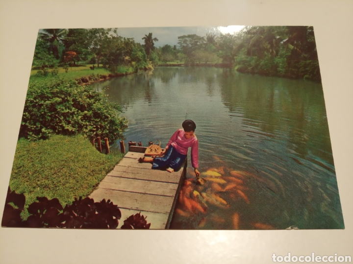 Postales: Filipinas - Foto 1