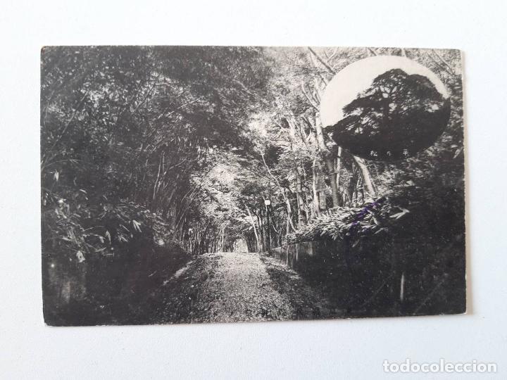 Postales: Jap&oacute;n, Postal  0019 - Foto 1