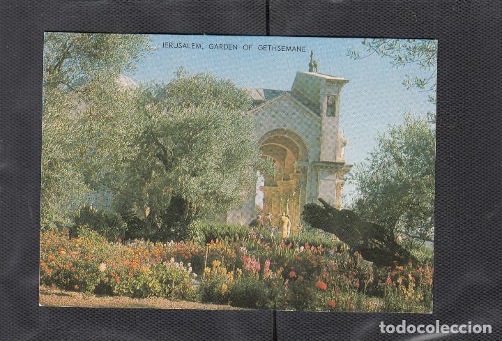 Postales: JERUSALEM. BASILICA Y JARDINES DE GETSEMANI - Foto 1