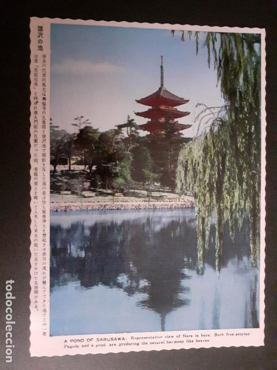 Postales: JAPON SARUSAWA POSTAL - Foto 1