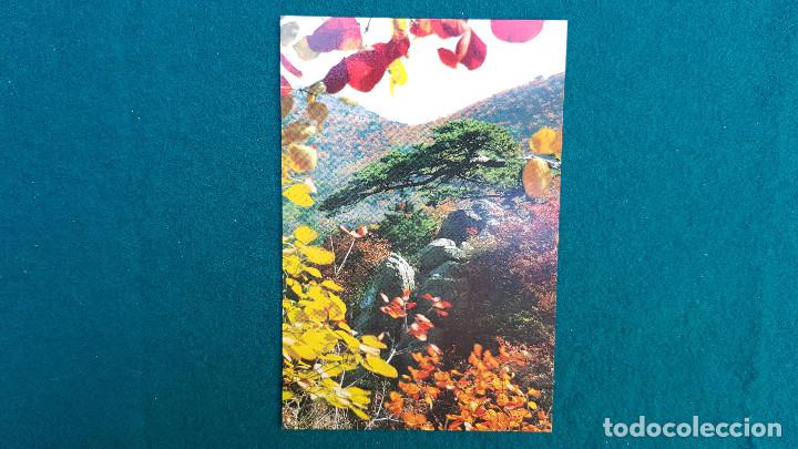 Postales: POSTAL xiangshan - CHINA - Foto 1