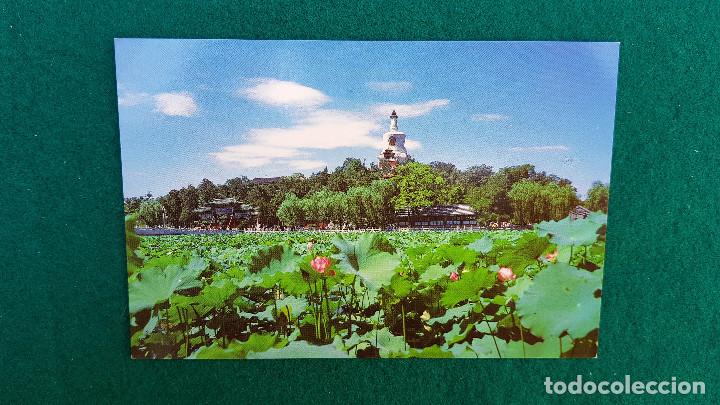 Postales: POSTAL BEIHAI - CHINA - Foto 1