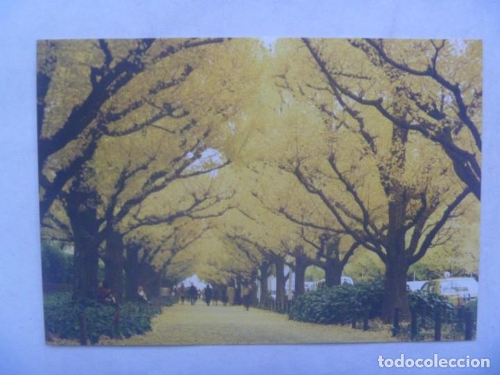 Postales: POSTAL DE TOKYO ( JAPON ) - Foto 1