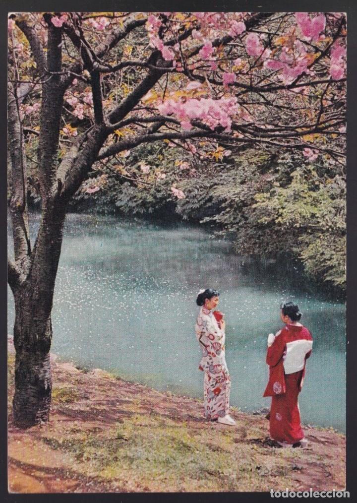 Postales: Jap&oacute;n. *Springtime...* Nueva. - Foto 1