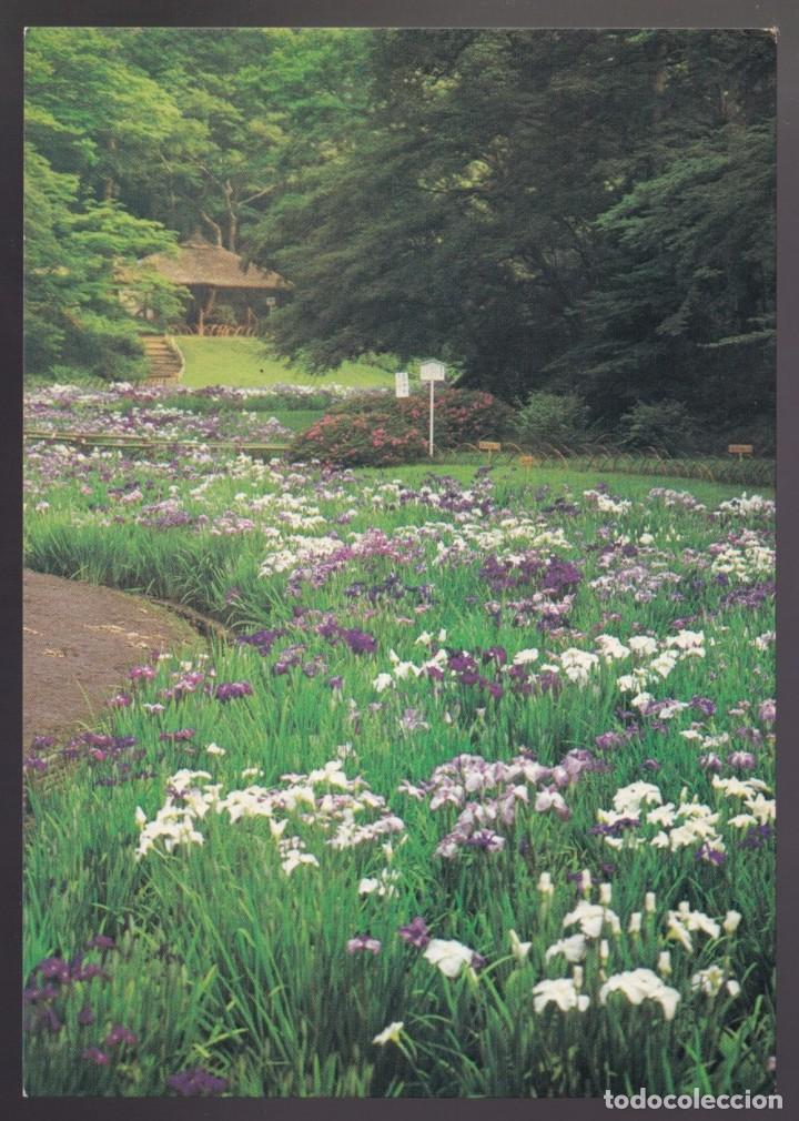 Postales: Jap&oacute;n. *Iris Garden* Nueva. - Foto 1