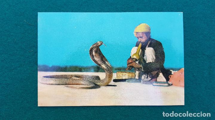 Postales: POSTAL SNAKE CHARMER - INDIA - Foto 1