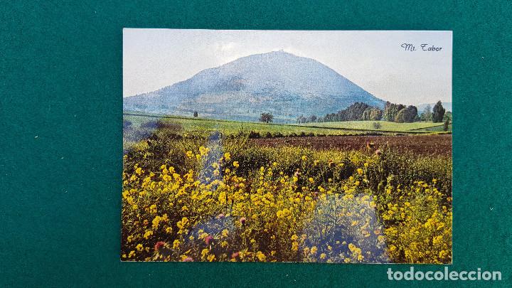 Postales: POSTAL ISRAEL - MOUNT TABOR - Foto 1