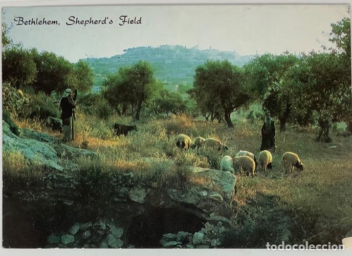 Postales: ISRAEL, BETHLEHEM, Shepherds Fields. Escrita 1980 - Foto 1