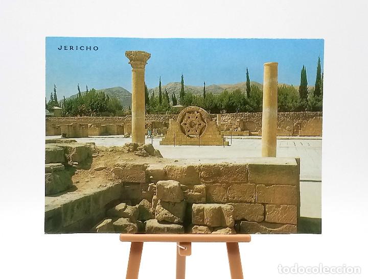 Postales: Postal 8869 Jeric&oacute; (Palestina) - Foto 1