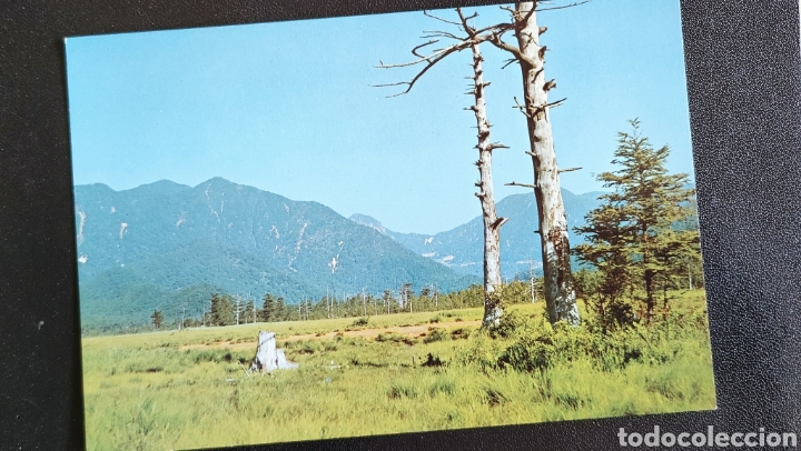 Postales: Japan. Senjo-ga-hara plain... - Foto 1