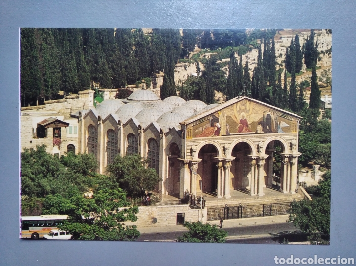 Postales: Postal Jerusalem jardin del gethsemani - Foto 1