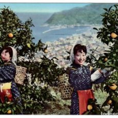 Cartes Postales: JAPÓN / JAPAN. ITOH SPA, ORANGE HARVESTING. ESCRITA Y CIRCULADA A BARCELONA EN 1963 (CON SELLO).. Lote 339082528
