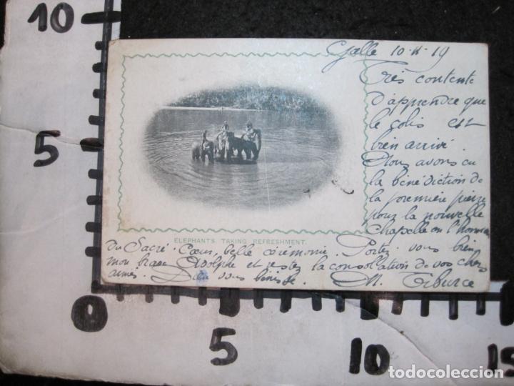 Postales: ELEPHANTS TAKING REFRESHMENT-CEYLON-POSTAL ANTIGUA-(93.264) - Foto 3