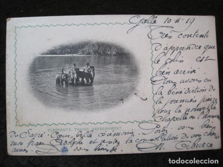 Postales: ELEPHANTS TAKING REFRESHMENT-CEYLON-POSTAL ANTIGUA-(93.264) - Foto 1