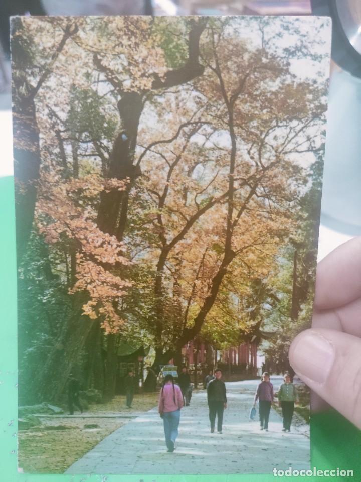 Postales: Postal A Path LING YIN Temple S/C - Foto 1