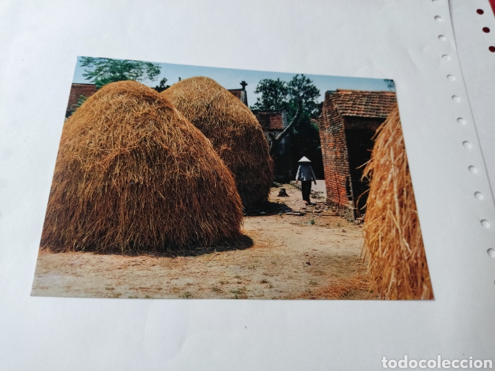 Postales: Postal Vietnam - Foto 1
