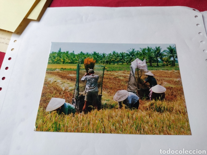 Postales: Postal Vietnam - Foto 1