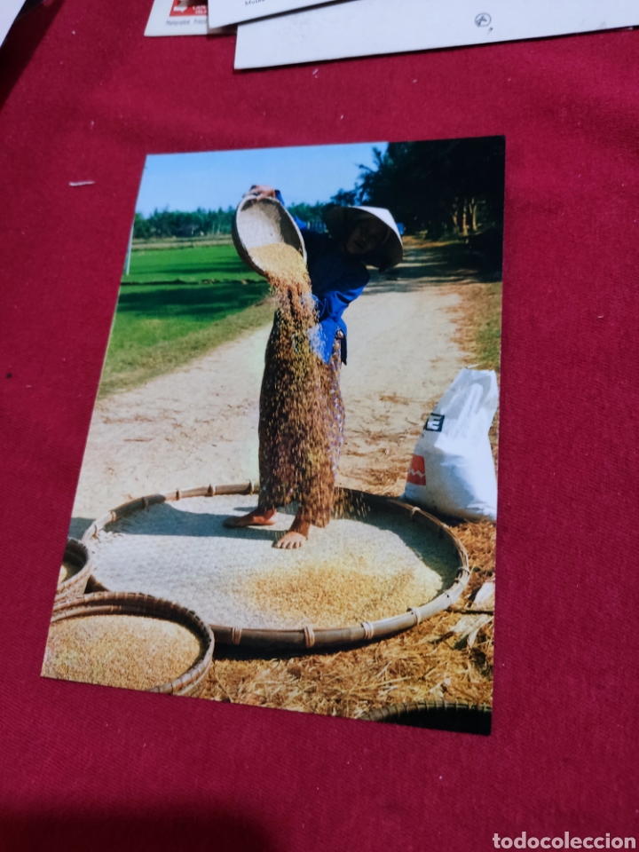 Postales: Postal Vietnam - Foto 1