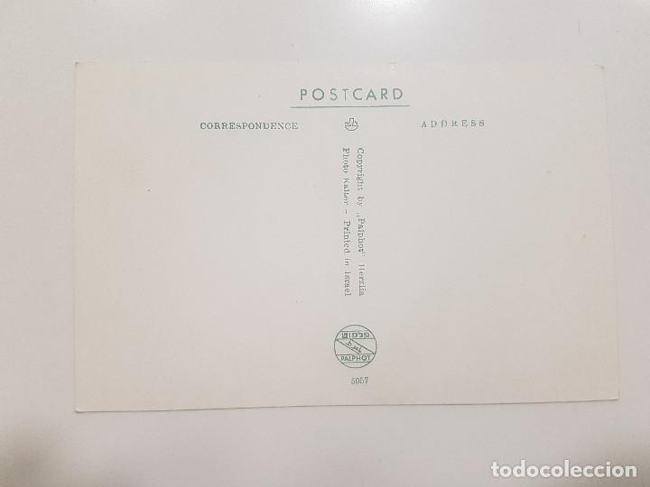 Postales: POSTAL ISRAEL / NAZARETH - PARTIAL VIEW / SIN CIRCULAR - Foto 2