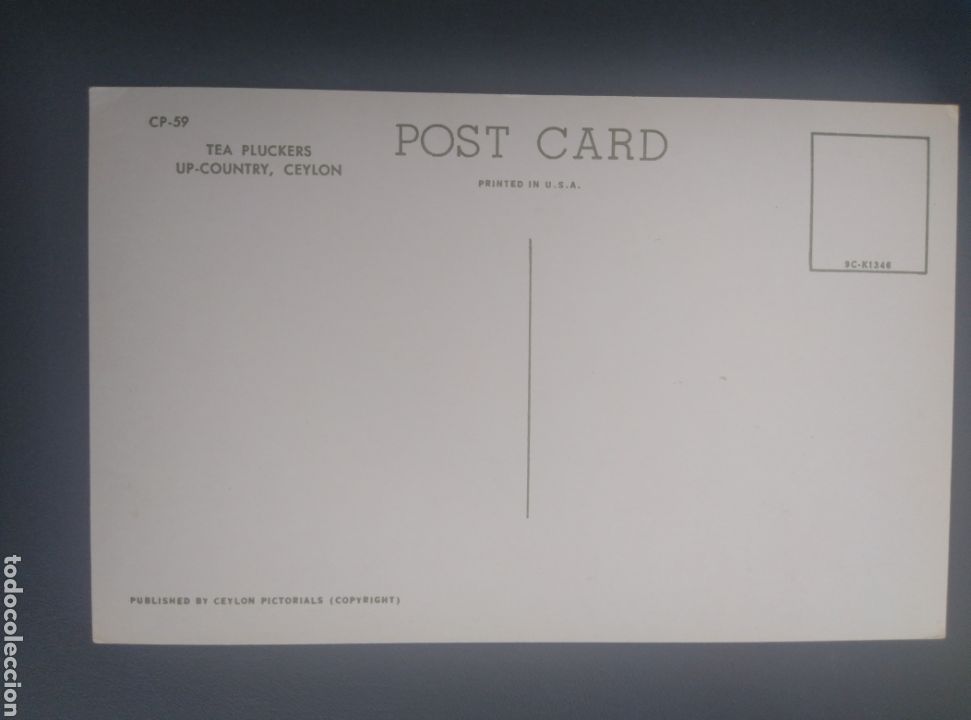 Postales: RECOGIDA DEL T&Eacute;. CEILAN, CEYLON. - Foto 2