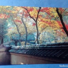 Postales: POSTAL MOSS GARDEN OF SAIHO-JI KYOTO SIN CIRCULAR. Lote 376144349