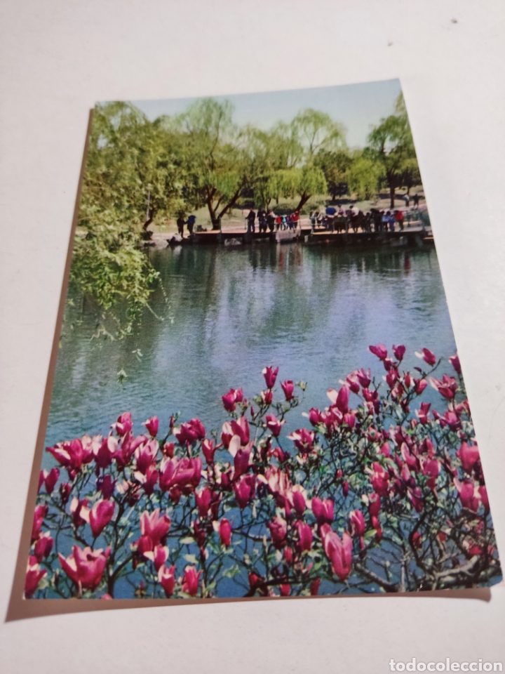Postales: Postal China - Foto 1