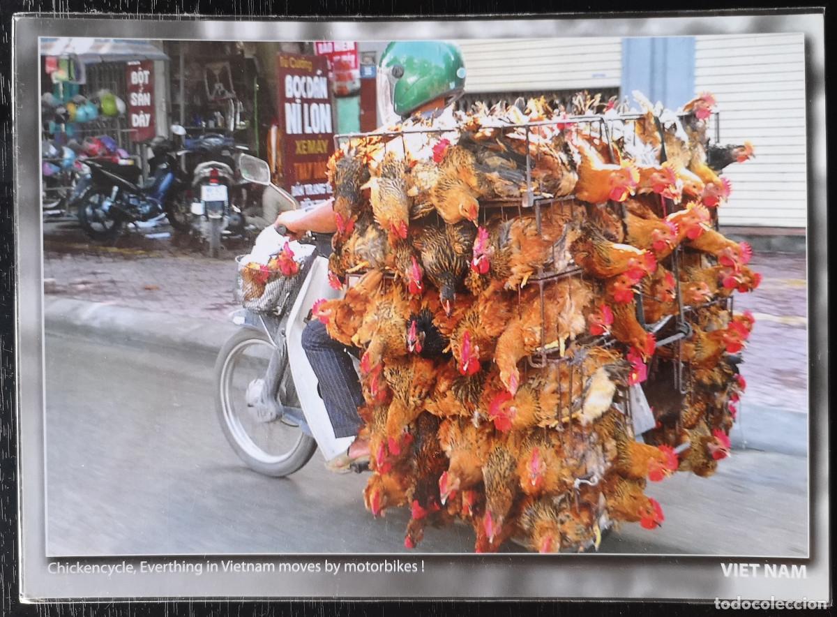 Postales: POSTAL NO CIRCULADA - VIETNAM - Foto 1