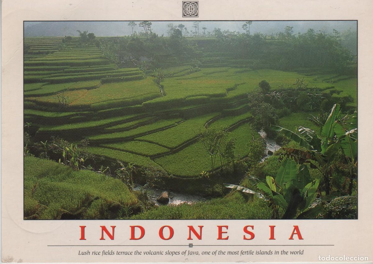Postales: POSTAL-INDONESIA - Foto 1
