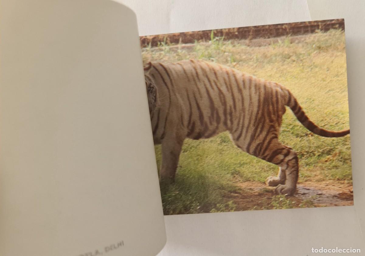 Postales: 5 libritos Postales de la India - Foto 11