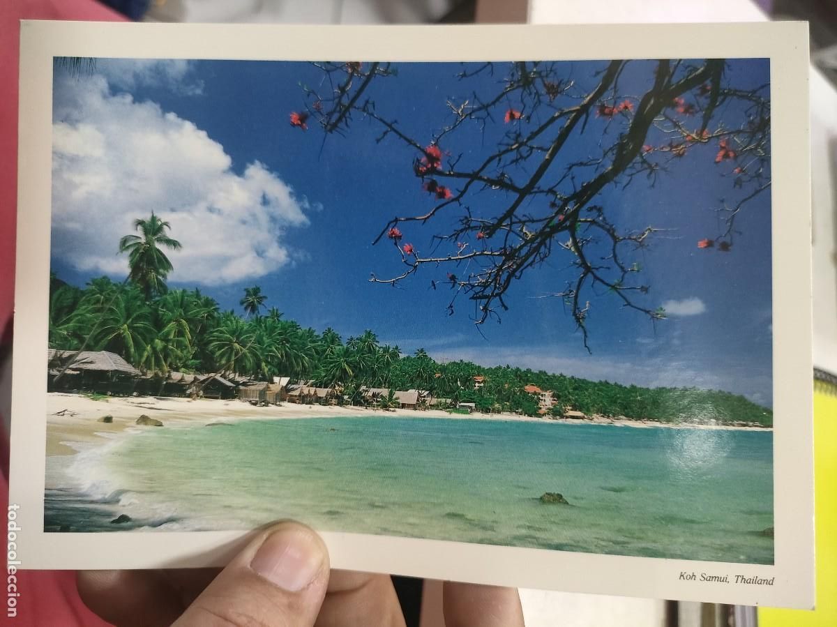 Postales: Postal TAILANDIA koh Samui SC - Foto 1