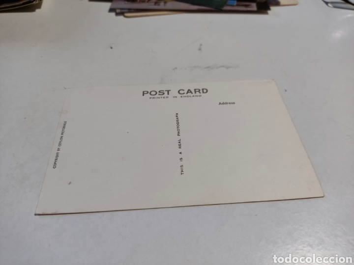 Postales: Postal elefante y Mahout,ceylan - Foto 2