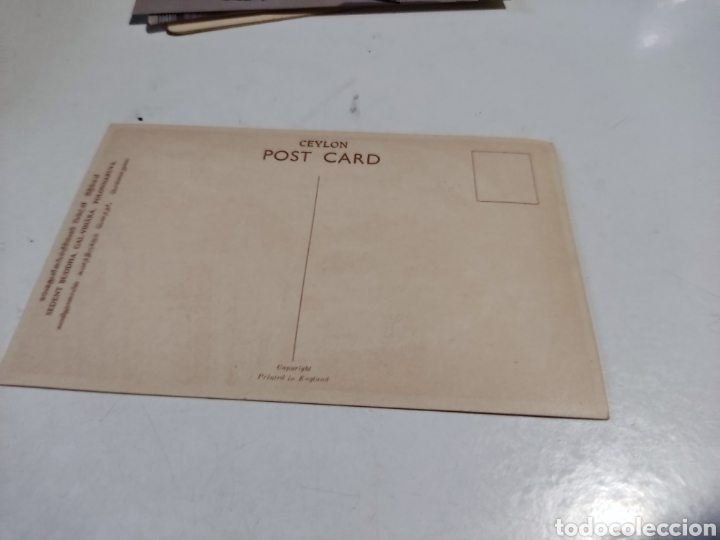 Postales: Postal Buddha ceylan - Foto 2
