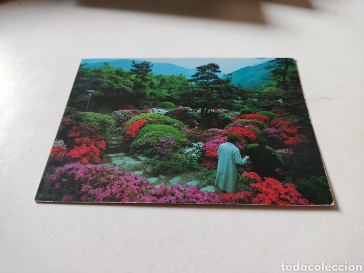 Postales: Postal Jap&oacute;n - Foto 1