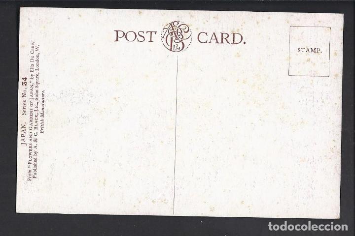 Postales: Antigua postal de Japan. No circulada - Foto 2