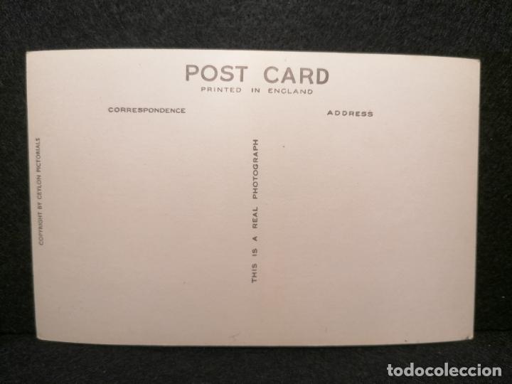 Postales: POSTAL LAGOON SCENE NEGOMBO CEYLON 2 - Foto 2