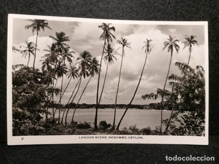 Postales: POSTAL LAGOON SCENE NEGOMBO CEYLON 2 - Foto 1