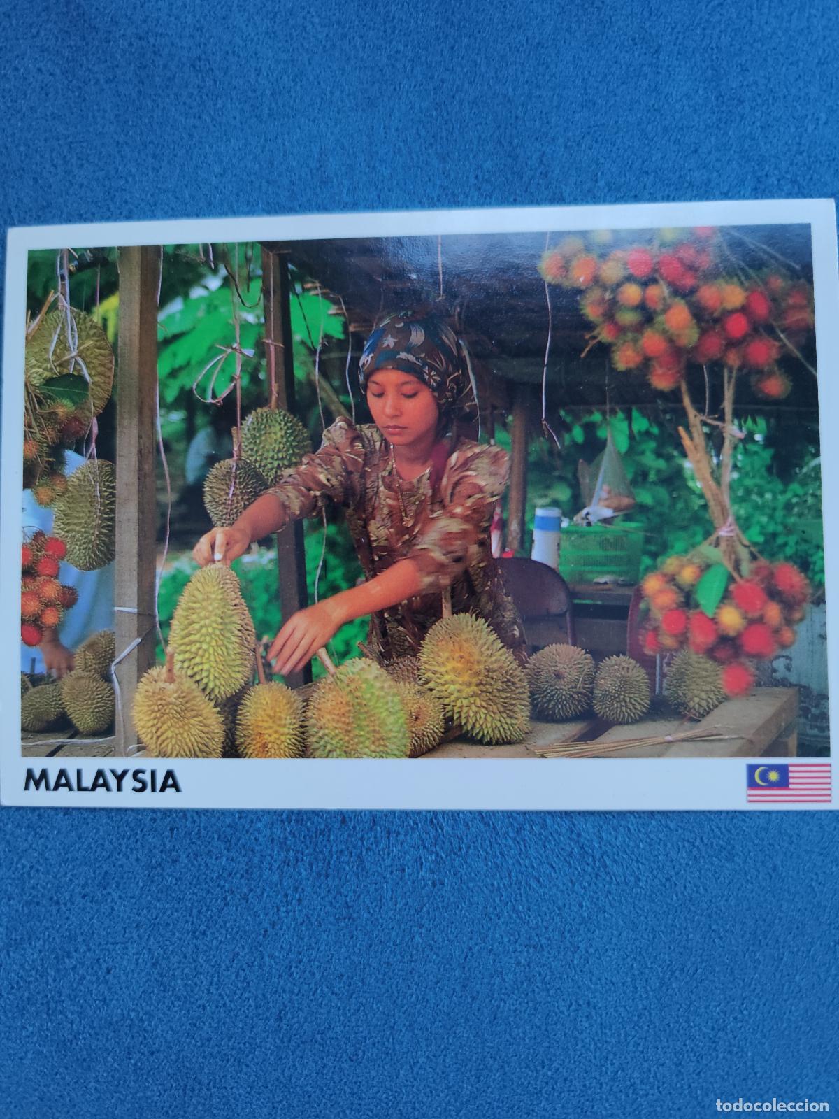 Postales: Postal Nueva Sin Circular de Malaysia. - Foto 1