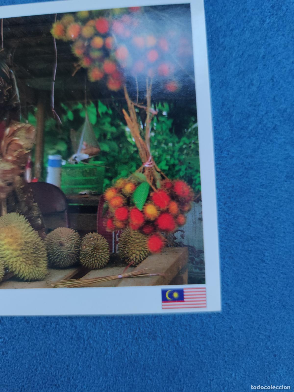 Postales: Postal Nueva Sin Circular de Malaysia. - Foto 2