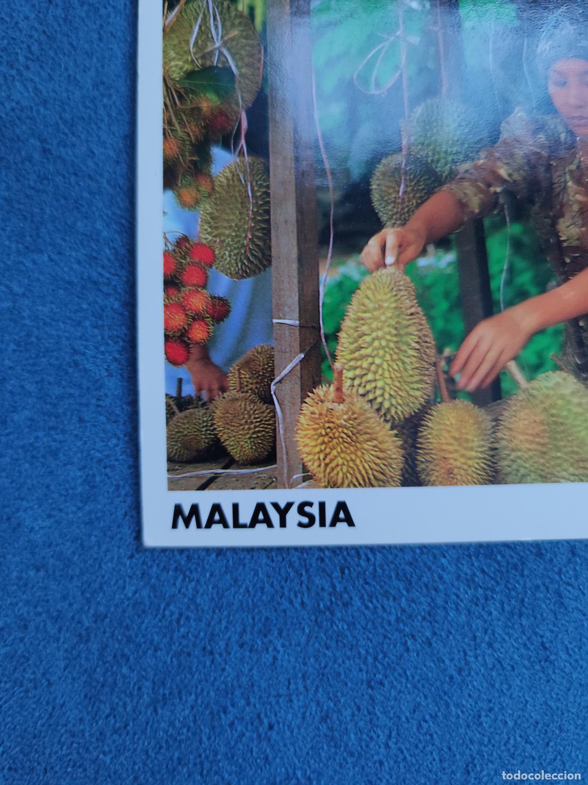 Postales: Postal Nueva Sin Circular de Malaysia. - Foto 3