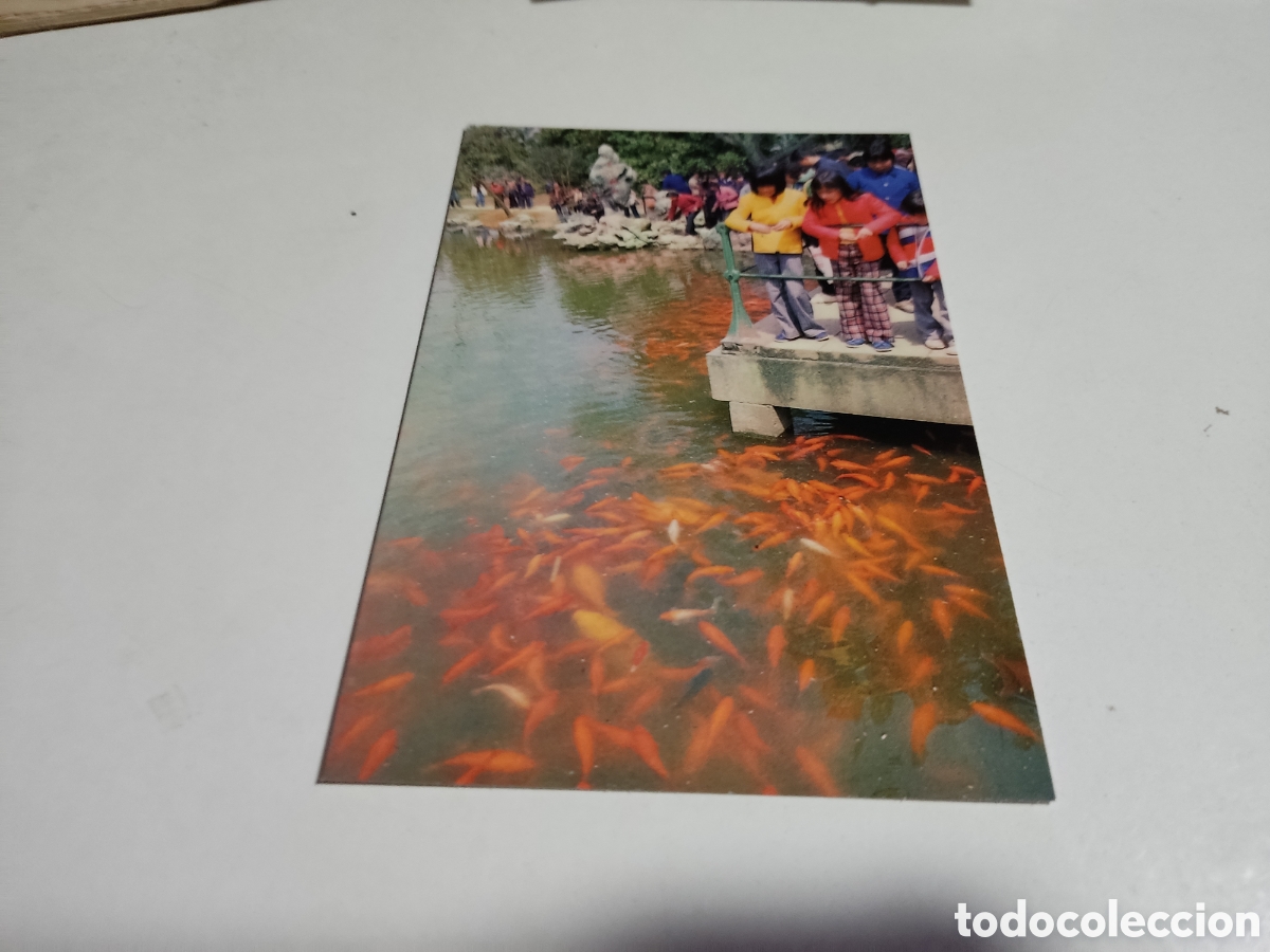 Postales: Postal China parque peces - Foto 1