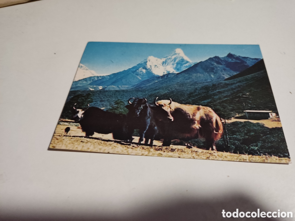 Postales: Postal Mt amadablam, Nepal - Foto 1