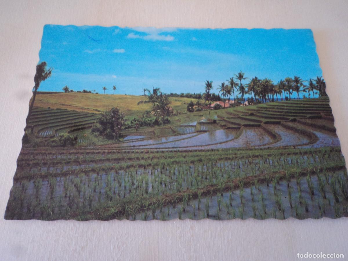 Postales: TANAH OLOT, BALI, ED. PS- A154 - Foto 1