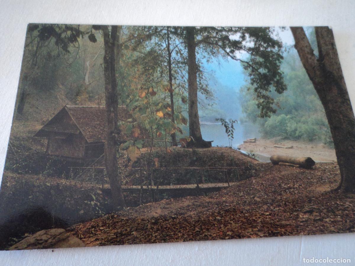 Postales: CHIANGMAI, NORTH THAILAND, A 224 - Foto 1